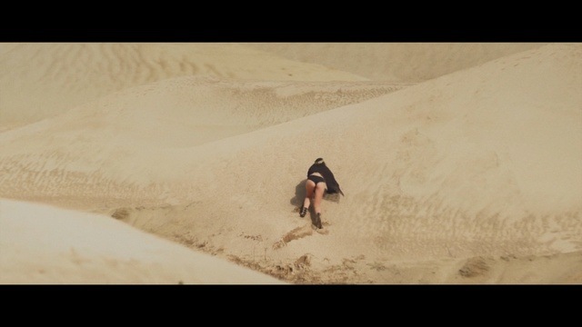 Video Reference: sand, photograph, desert, erg, dune, landscape, aeolian landform, sahara, sky, material