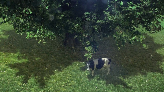 Video Reference: Green, Vegetation, Natural environment, Biome, Grass, Nature reserve, Canidae, Tree, Sporting Group, Grass family