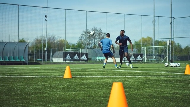 Video Reference: player, sports, football player, sport venue, grass, plant, team sport, public space, net, ball game, Person