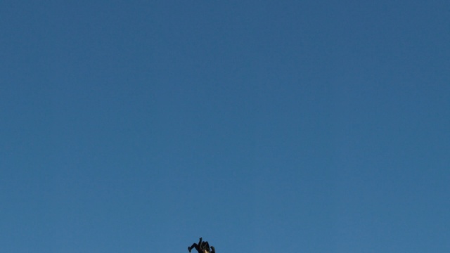 Video Reference: sky, blue, daytime, cloud, atmosphere, horizon, tree, computer wallpaper