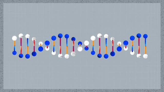 Video Reference: Text, Product, Font, Design