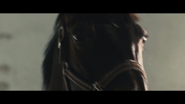 Video Reference: Hair, Leather, Photography, Textile, Horse, Black hair, Bridle, Long hair, Jacket, Fur