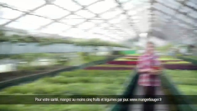 Video Reference: ecosystem, plant, greenhouse, mode of transport, tree, flora, grass, structure, biome, outdoor structure