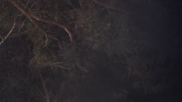 Video Reference: texture, pattern, art, design, wallpaper, grunge, marble, backdrop, light, black, moon