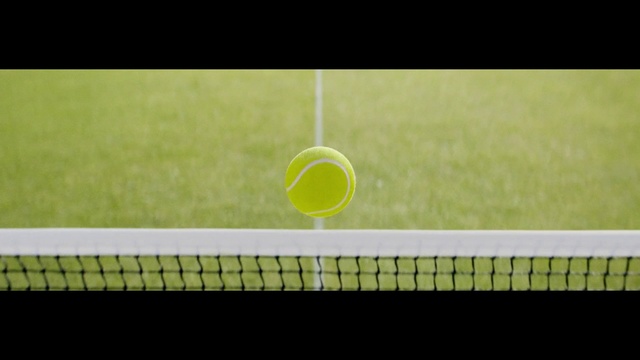 Video Reference: Green, Sport venue, Tennis court, Tennis ball, Grass, Grass family, Real tennis, Sports equipment, Net, Tennis
