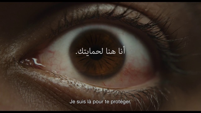 Video Reference: Eye, Iris, Eyelash, Eyebrow, Close-up, Skin, Organ, Brown, Macro photography, Human