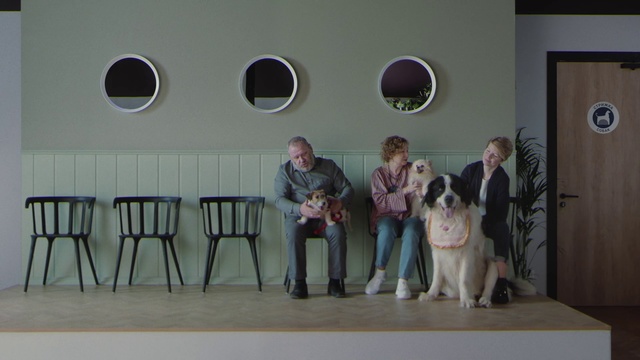 Video Reference: Mammal, Dog, Canidae, Dog breed, Kennel club, Carnivore, Sporting Group, Pyrenean mastiff, Fawn, St. bernard