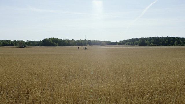 Video Reference: Field, Plain, Grassland, Natural environment, Grass, Agriculture, Ecoregion, Crop, Land lot, Prairie