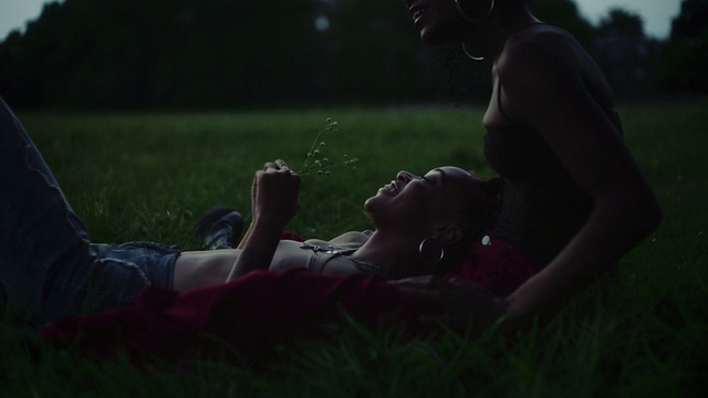 Video Reference: Grass, Green, Grass family, Fun, Sitting, Photography, Darkness, Tree, Human, Atmosphere