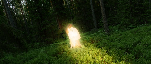 Video Reference: Nature, Natural environment, Fire, Woodland, Forest, Jungle, Light, Sunlight, Biome, Grass, Outdoor, Green, Wooded, Field, Lush, Wood, Man, Standing, Area, Grassy, Track, Train, Tree, Riding, Throwing, Walking, Yellow, White, Frisbee, Grazing, Dirt, Street, Wedding dress, Bride, Dress