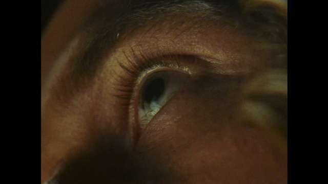 Video Reference: Eye, Iris, Face, Skin, Eyelash, Eyebrow, Close-up, Nose, Organ, Brown