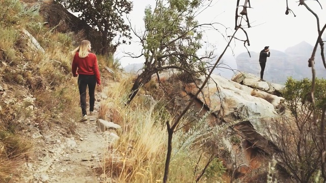 Video Reference: Tree, Natural landscape, Wilderness, Adventure, Recreation, Hiking equipment, Walking, Rock, Grass, Plant