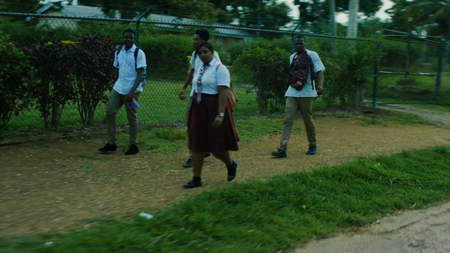 Video Reference: green, tree, plant, grass, walking, recreation, rural area, leisure, road, vehicle, Person