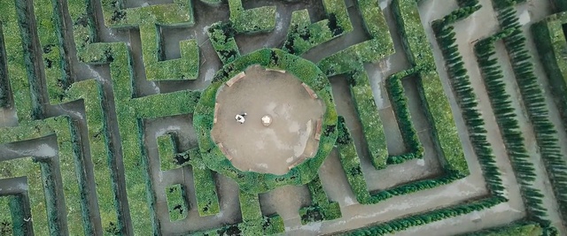 Video Reference: Green, Water, Grass, Labyrinth, Maze
