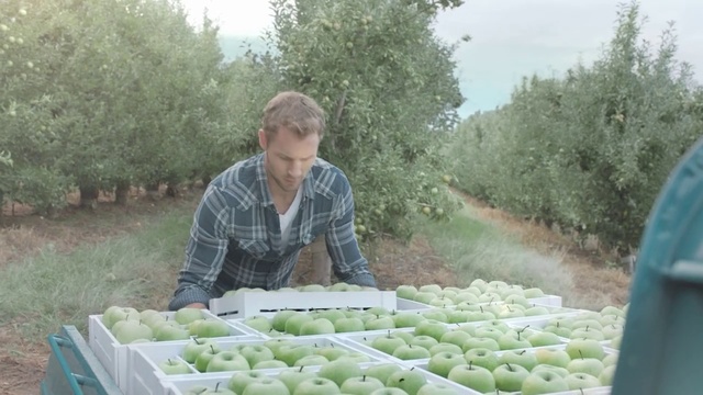 Video Reference: Plant, Local food, Vegetable, Farm, Cucumis, Food