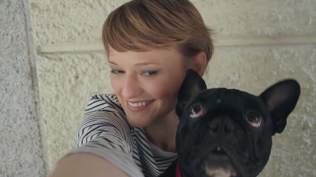 Video Reference: dog, dog like mammal, dog breed, mammal, vertebrate, nose, snout, french bulldog, ear, carnivoran, Person