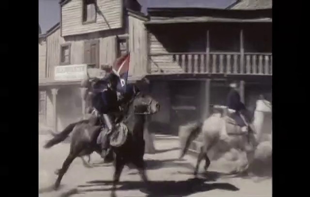 Video Reference: Horse, Mammal, Vertebrate, Bridle, Horse tack, Halter, Horse harness, Rein, Animal sports, Pack animal