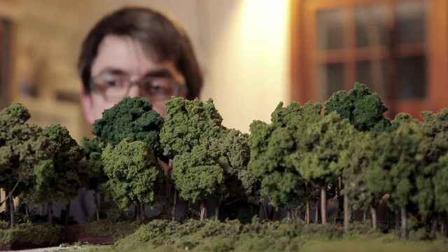 Video Reference: Leaf vegetable, Plant, Kale, Leaf, Broccoli, Soil, Scale model, Cruciferous vegetables, Grass, Tree