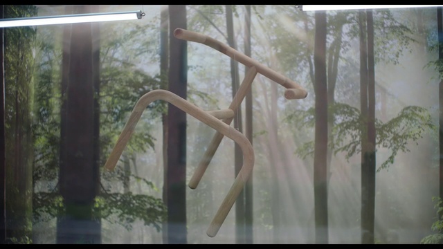 Video Reference: Nature, Tree, Forest, Wood, Woodland, Plant, Trunk, Plant stem, Indoor, Window, Building, Sitting, Room, Glass, Table, Large, White, Vase, Laying, Standing, Dog, Bear, Man, Air