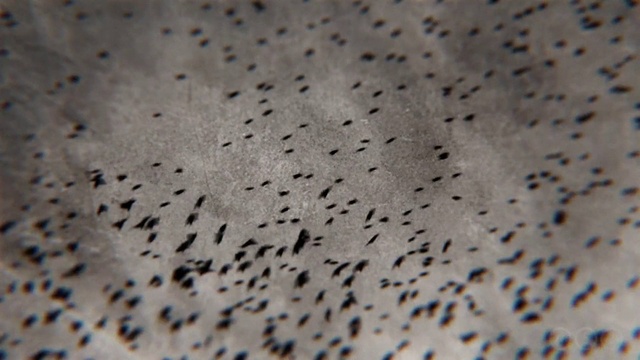 Video Reference: Water, Close-up, Pattern