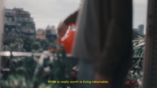 Video Reference: Snapshot, Tree, Photography, Plant, Coquelicot