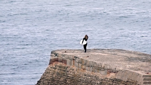 Video Reference: sea, ocean, coast, shore, coastal and oceanic landforms, water, wave, sky, rock, recreation, Person