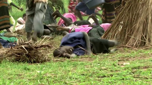Video Reference: Primate, Common chimpanzee, Zoo, Grass, Wildlife, Adaptation, Jungle