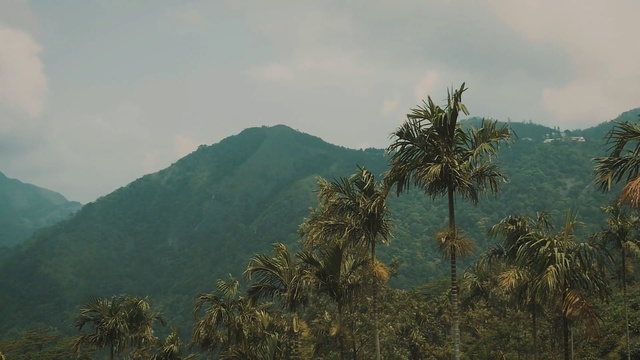 Video Reference: Vegetation, Mountainous landforms, Hill station, Mountain, Tree, Sky, Atmospheric phenomenon, Hill, Forest, Ridge