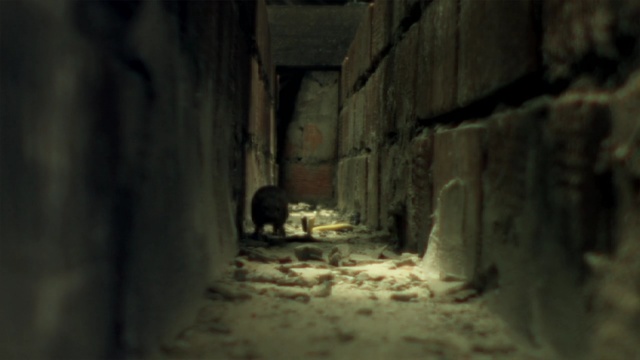 Video Reference: darkness, ruins, Person