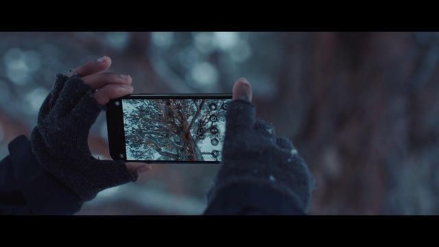 Video Reference: Screenshot, Hand, Tree, Digital compositing, Darkness, Photography, Window, Reflection, Gesture