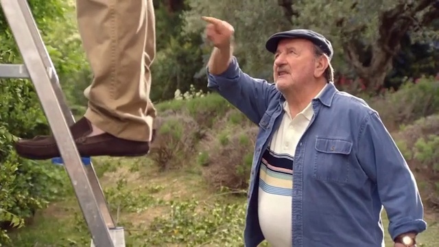 Video Reference: Soil, Community, Tree, Adaptation, Recreation, Plant