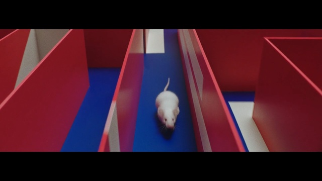 Video Reference: Red, Blue, Line, Cobalt blue, Textile, Rectangle, Symmetry, Person