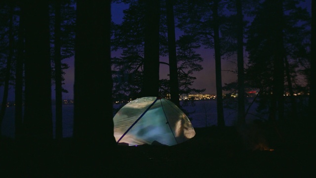 Video Reference: nature, darkness, night, light, atmosphere, tree, lighting, sky, biome, forest