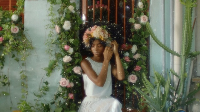 Video Reference: Floral design, Lady, Flower Arranging, Floristry, Hairstyle, Botany, Plant, Flower, Houseplant, Shrub, Person