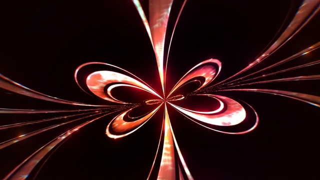 Video Reference: Fractal art, Graphic design, Symmetry, Graphics, Art