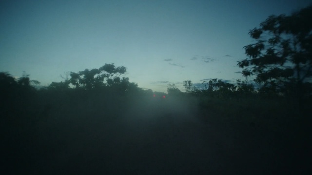 Video Reference: Sky, Atmospheric phenomenon, Nature, Blue, Cloud, Atmosphere, Morning, Tree, Natural environment, Darkness
