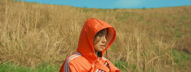 Video Reference: ecosystem, grassland, field, prairie, grass, grass family, plant, steppe, ecoregion, meadow, Person