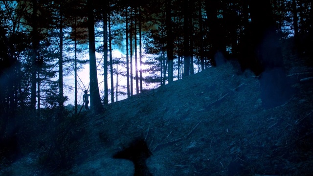 Video Reference: nature, forest, darkness, atmosphere, light, tree, sky, woodland, night, biome, Person