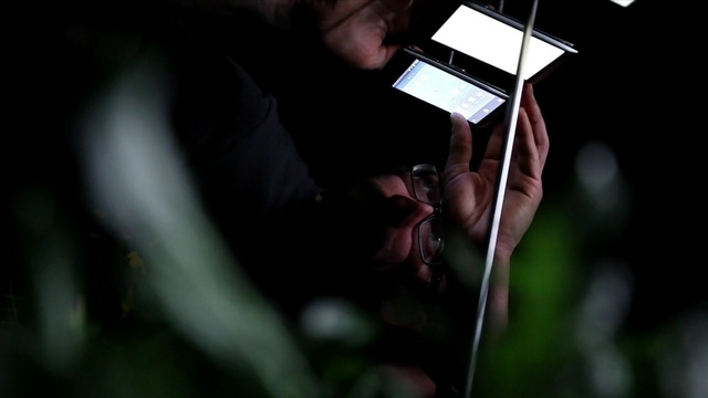 Video Reference: darkness, midnight, Person