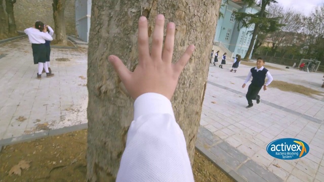 Video Reference: Photograph, Finger, Tree, Gesture, Hand