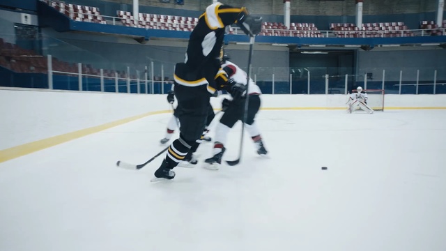 Video Reference: hockey, bandy, ice hockey, ice hockey position, ice rink, team sport, sport venue, player, roller in line hockey, sports
