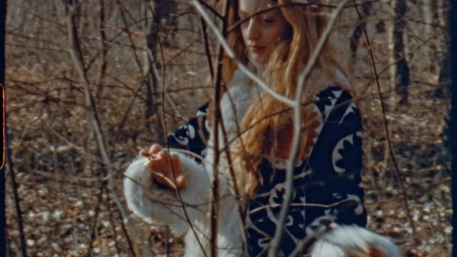 Video Reference: tree, branch, winter, wildlife, woodland, plant, forest, girl, Person