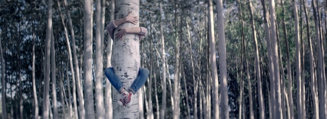 Video Reference: tree, woody plant, plant, jeans, water, winter, forest, girl, freezing, grass family, Person
