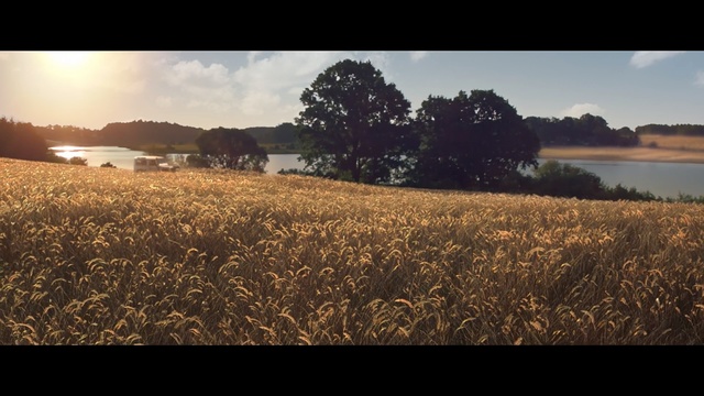 Video Reference: Field, Nature, Sky, Crop, Farm, Natural landscape, Agriculture, Rural area, Morning, Sunlight