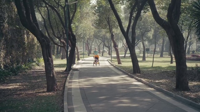 Video Reference: Tree, Public space, Woody plant, Road, Trail, Thoroughfare, Walkway, State park, Park, Recreation, Person