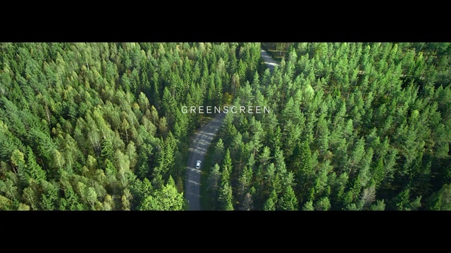 Video Reference: vegetation, ecosystem, tree, grass, spruce fir forest, tropical and subtropical coniferous forests, forest, biome, temperate coniferous forest, grass family