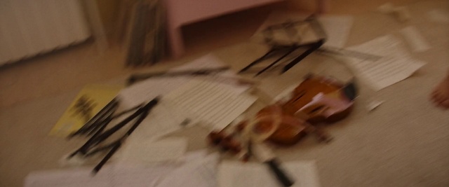 Video Reference: Floor, Lizard