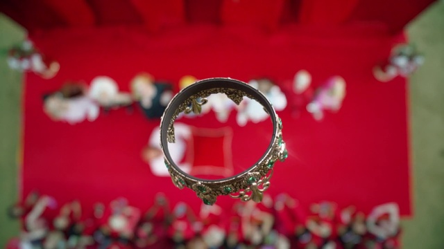 Video Reference: Red, Macro photography, Ring, Close-up, Fashion accessory, Jewellery, Wedding ring, Engagement ring, Flower, Plant