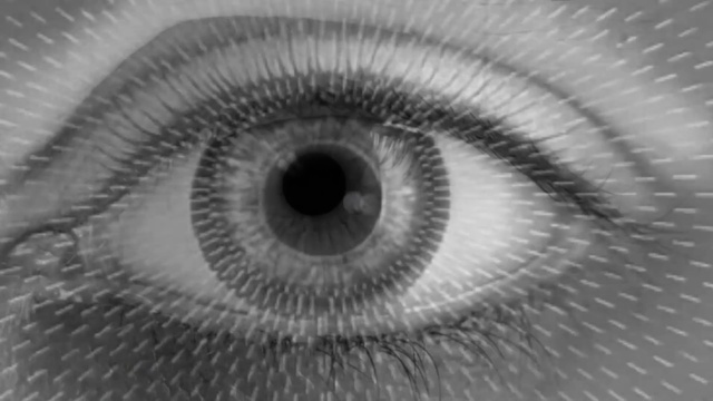 Video Reference: Iris, Eye, Close-up, Eyelash, Monochrome, Organ, Black-and-white, Eyebrow, Monochrome photography, Grey
