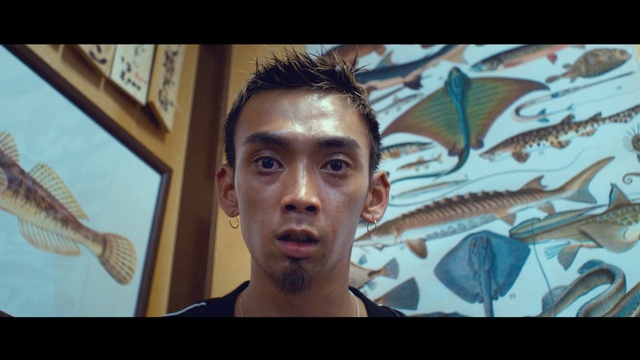 Video Reference: beard, portrait, person, man